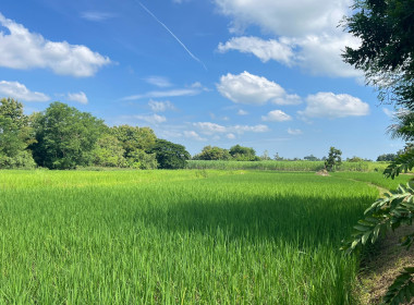 ลงพื้นที่ติดตามการใช้เงินกู้กองทุนสงเคราะห์เกษตรกร พารามิเตอร์รูปภาพ 7